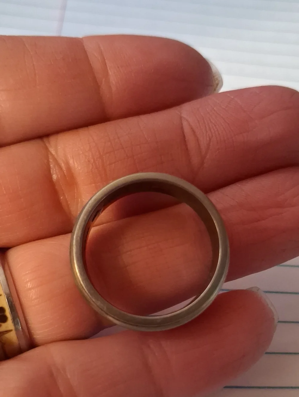 Mens Titanium Spinner Wedding Ring With Stone